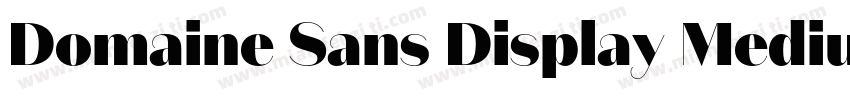 Domaine Sans Display Medium字体转换